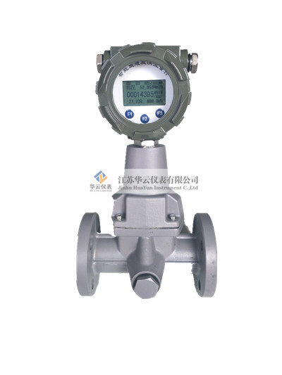 旋進(jìn)旋渦天然氣流量計