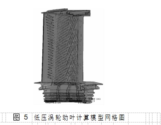 圖 5	低壓渦輪動葉計算模型網格圖