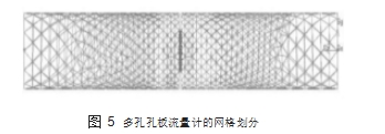 圖 5	多孔孔板流量計的網格劃分