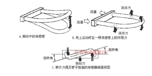 圖2 科氏質量流量計測量管振動示意圖Fig.2 Schematic diagram of measuring tube vibration of coriolis mass flowmeter