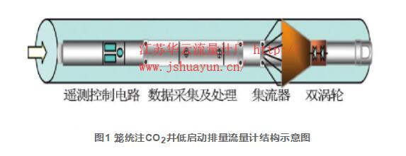 圖1 籠統注CO2井低啟動排量流量計結構示意圖