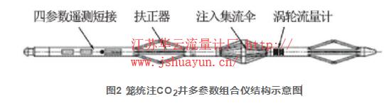 圖2 籠統注CO2井多參數組合儀結構示意圖